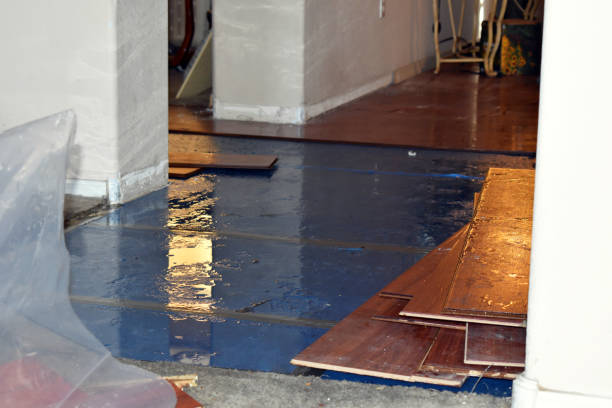 Professional Water Extraction technician working in Mcbrides, MI